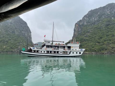 Scenic landscape with a cruise ship and limestone formations.