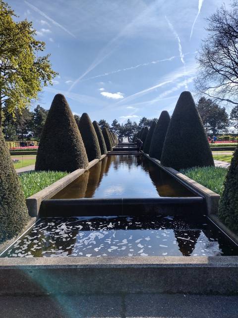       Reflective water feature surrounded by topiary.
  