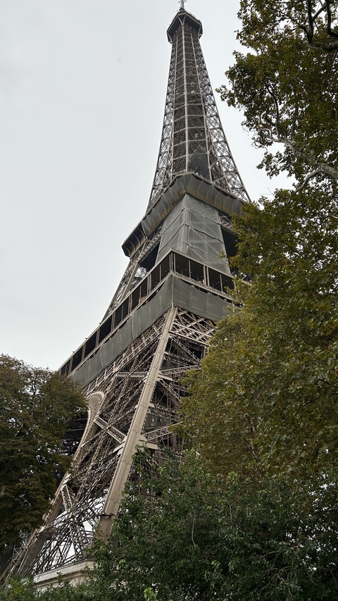       Eiffel Tower with scaffolding during the day.
  