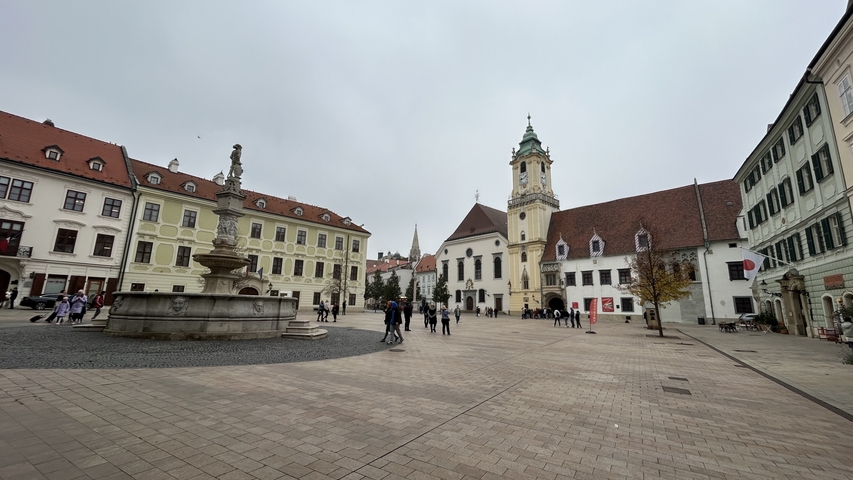       City square with historical buildings and fountain.
  