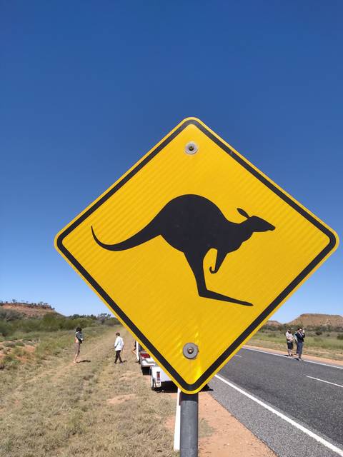       Close-up of a kangaroo warning sign.
  