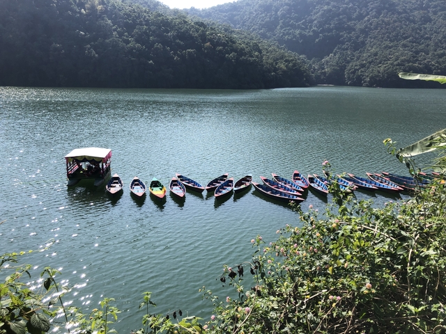 Boats aligned on a lake with a forested backdrop.