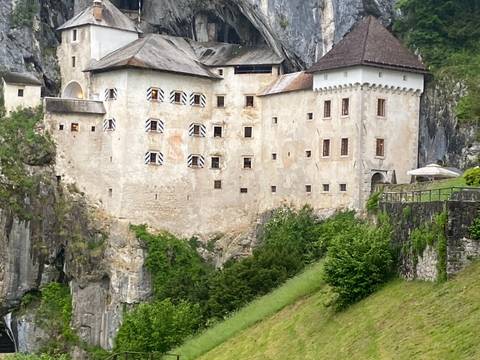 A castle built into a hillside surrounded by greenery.