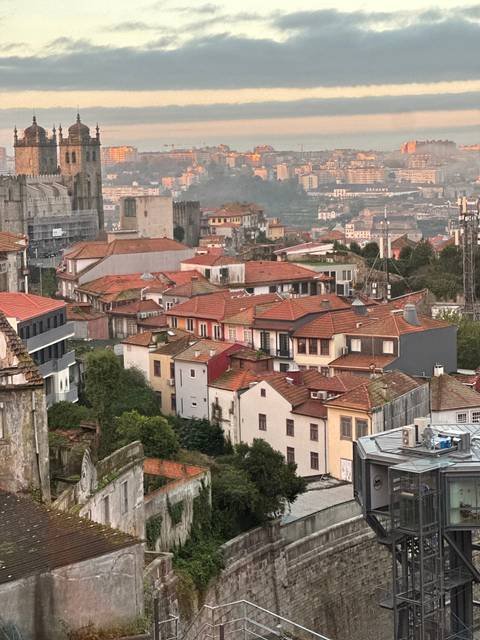 Cityscape with red rooftops.