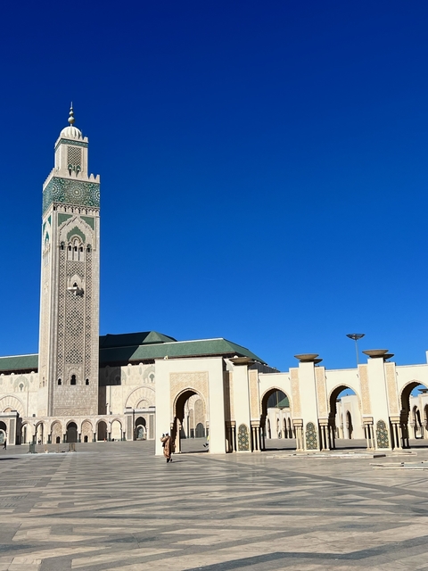       Exterior view of a grand mosque with minarets.
  
