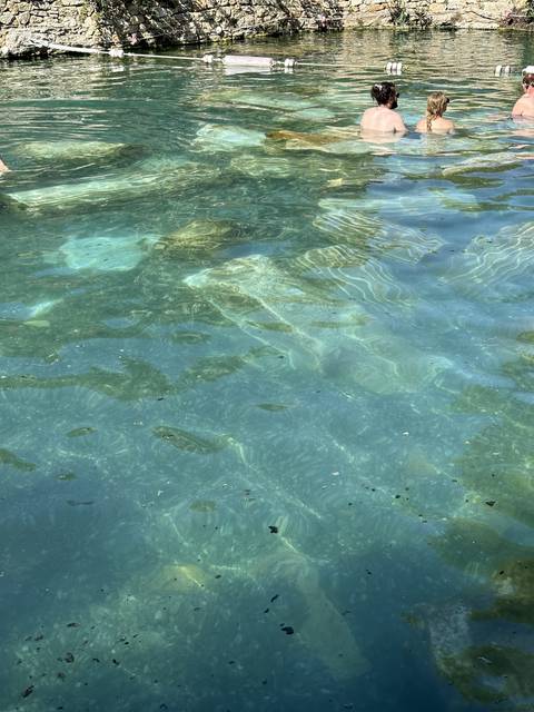       People swimming in a clear body of water.
  