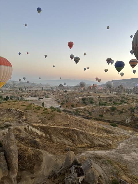       Hot air balloons flying over a desert landscape.
  
