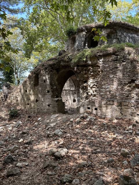       Ancient stone archway in a wooded area.
  