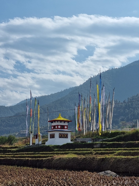       Colorful prayer flags next to a traditional Bhutanese structure.
  