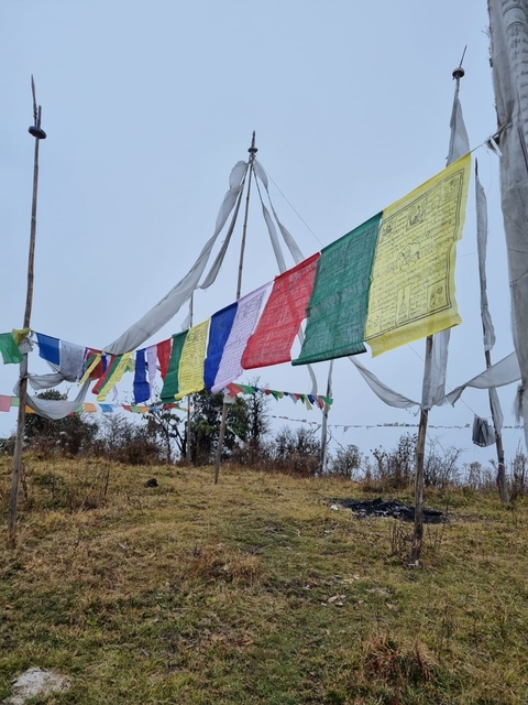       Colorful prayer flags in a windy setting.
  