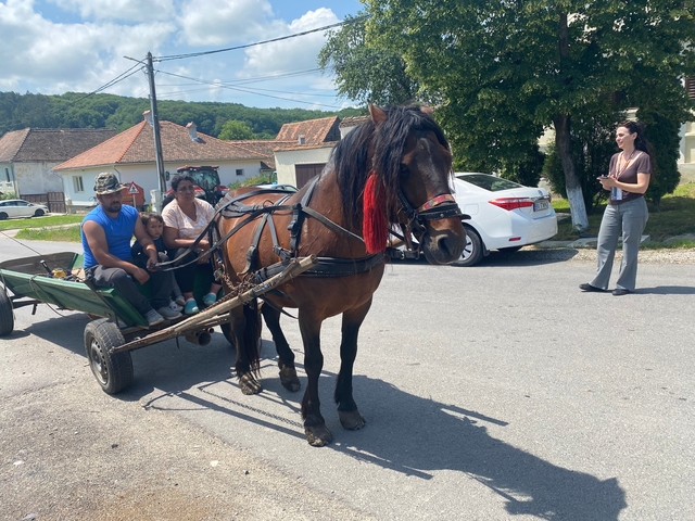 Family riding in a horse-drawn cart on a road.