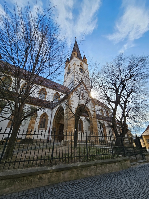 Beautiful church with a clock tower, trees in the foreground, and clear blue sky.