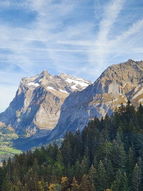 Mountain peak with trees in the foreground.