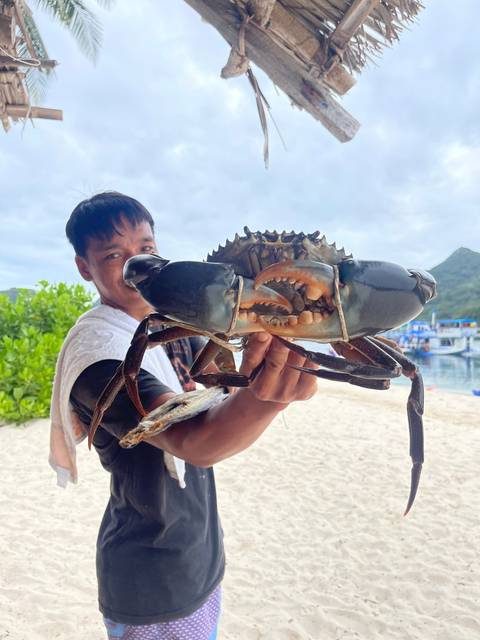 Person holding a large crab on a beach.