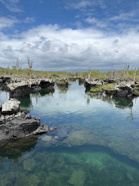 Scenic water landscape with clear skies and rock formations.