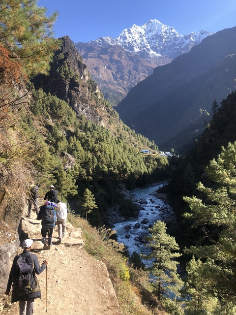       Hiking trail in a forested valley
  