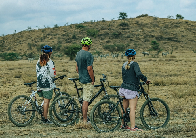 Cyclists viewing zebras on a safari