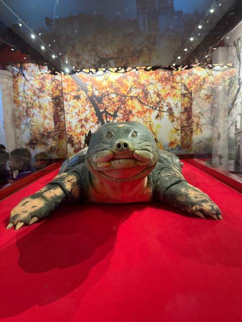 Model of a large turtle on a red surface.