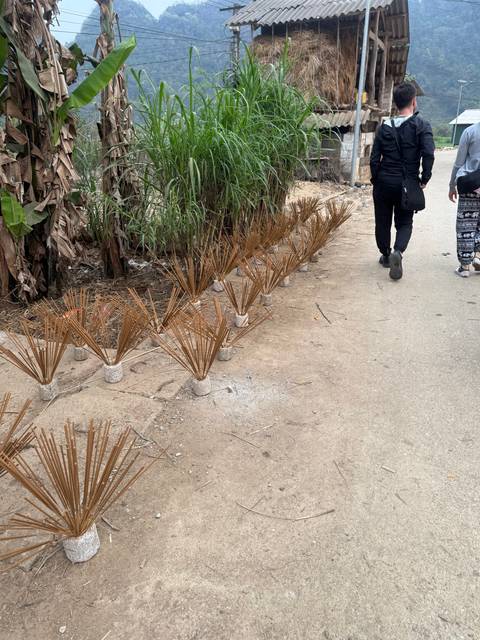Roadside arrangement of dried plants and greenery.