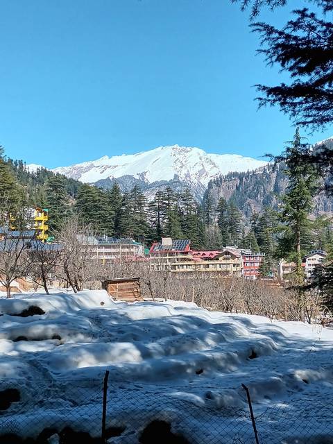 Snow-capped mountain behind buildings and trees.