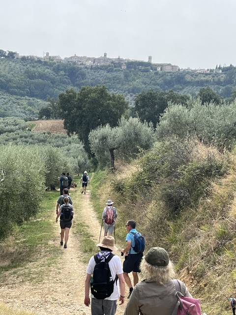 Group of hikers walking along a path with a scenic view.