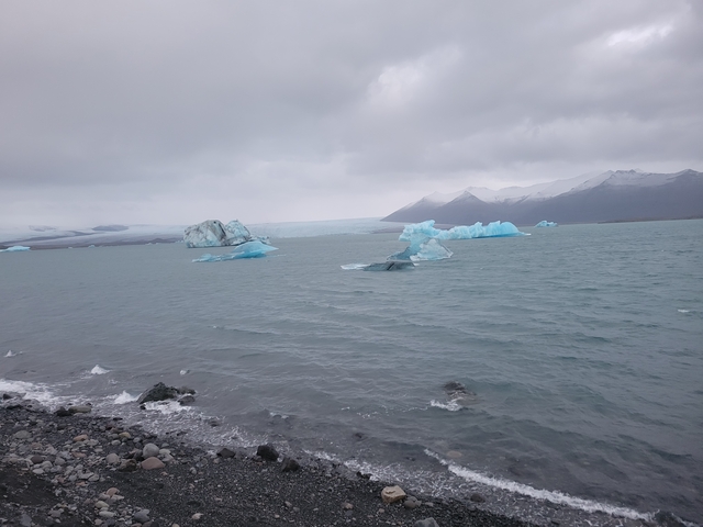 Icebergs floating on a glacial lake.