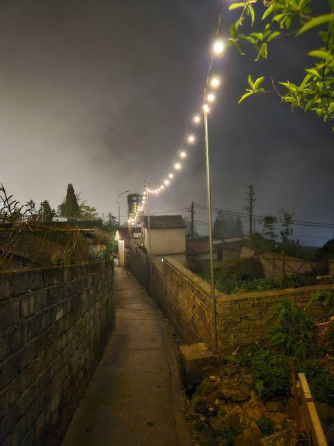       Outdoor path with string lights and brick wall.
  