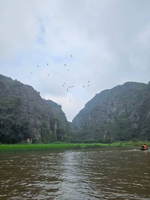       Mountains and river scene with a flock of birds.
  