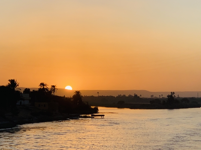       Silhouette of a sunset over the water with palm trees.
  