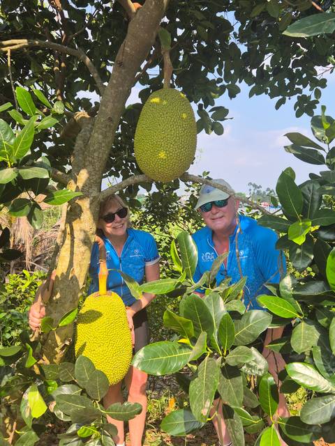 Two people standing beside a tree with large fruits.