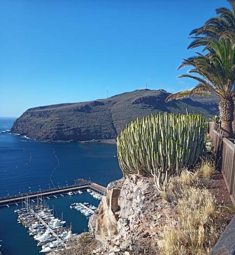 Cactus plant with ocean and hills in the background.