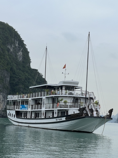       Cruise boat on the water with a Vietnamese flag.
  