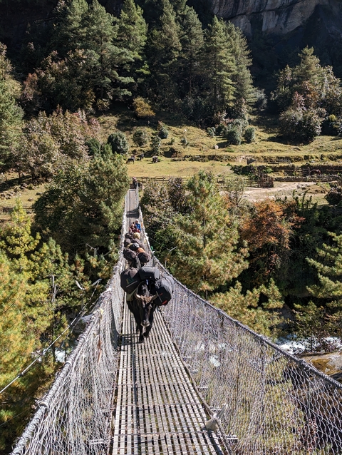 Hikers crossing a suspension bridge in a forested area.