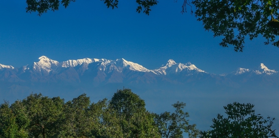 Snow-capped mountain range framed by lush green foliage.