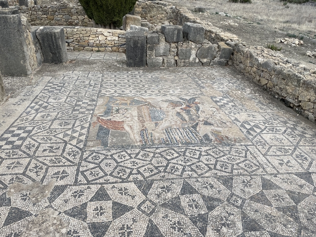       Ornate ancient mosaic floor at an archaeological site.
  