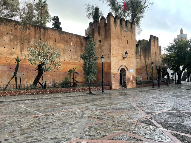       Historic fortress wall with trees lining a cobblestone street.
  