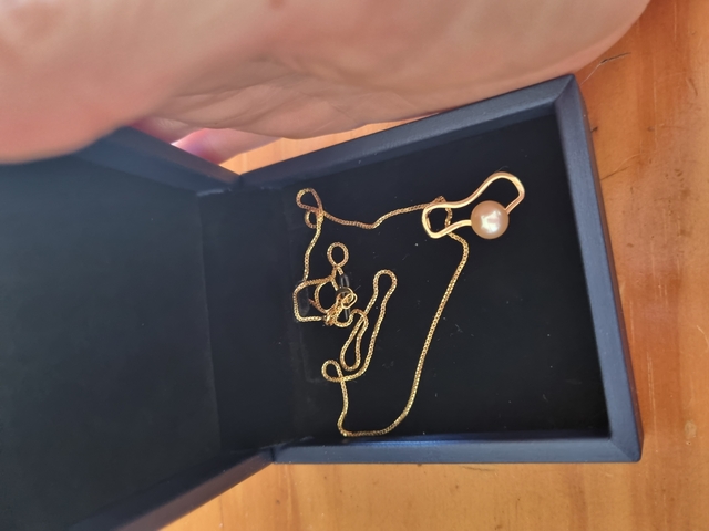 Gold necklace with a pearl pendant in a box.