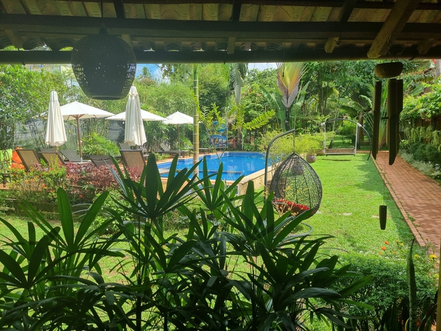 Lush garden with a swimming pool and lounge chairs.