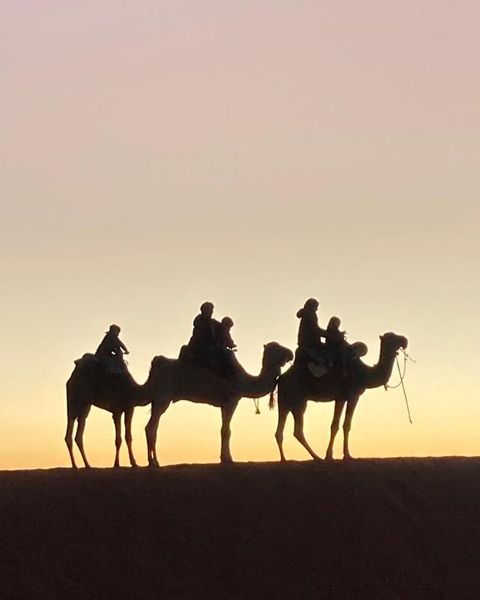       Silhouette of people riding camels at sunset.
  