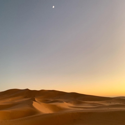 Desert landscape with sand dunes at sunset.