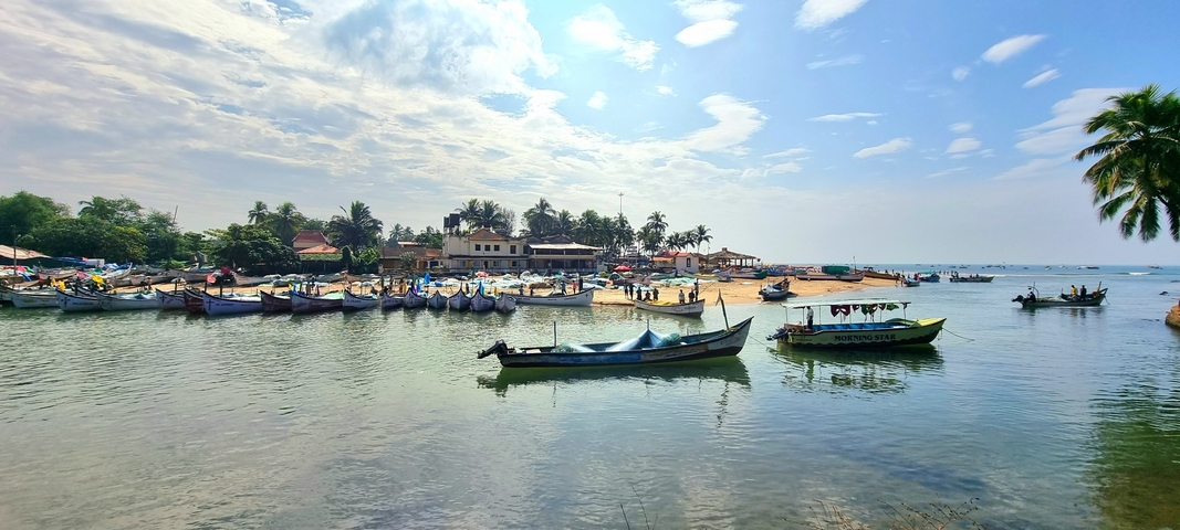       View of a fishing village with boats on a calm bay.
  