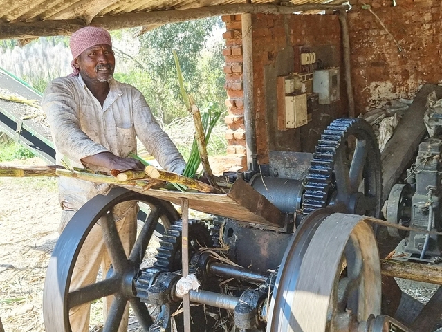       Man using a machine to press sugarcane.
  