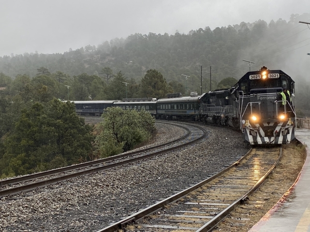 Train traveling on tracks through a forested area.