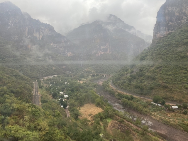 Scenic view of a canyon with trees and mist.