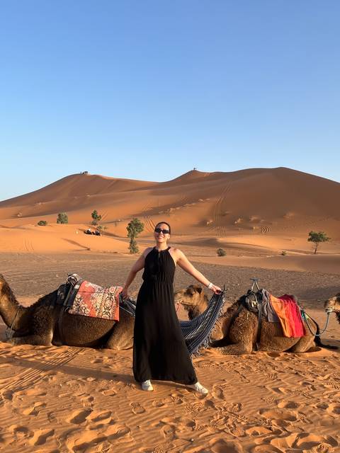       Woman posing in the desert with camels lying down.
  