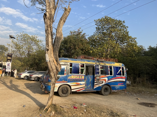       Colorfully decorated bus beside a tree.
  