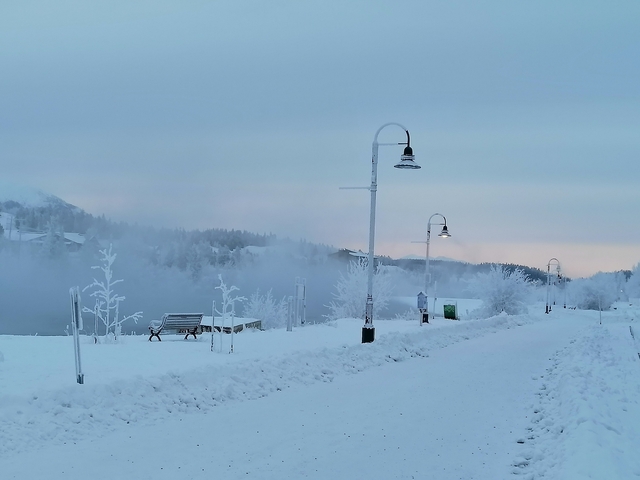       Snow-covered path with benches and streetlights on a foggy day.
  