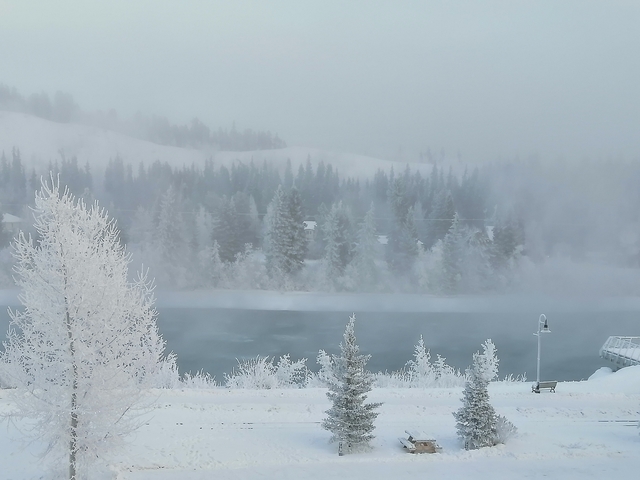       Winter scene with trees and mist rising over a river.
  
