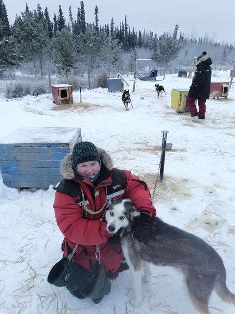       Person bundled in winter clothing with a husky dog in the snow.
  