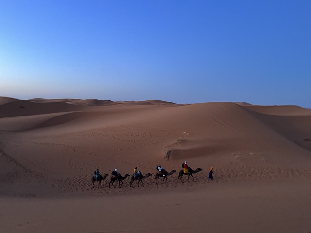       Line of camels walking in the desert.
  